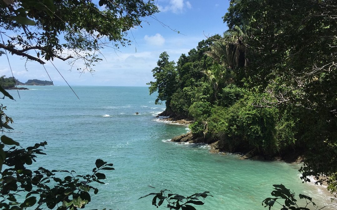 Costa Rica – Pura Vida im Dschungel