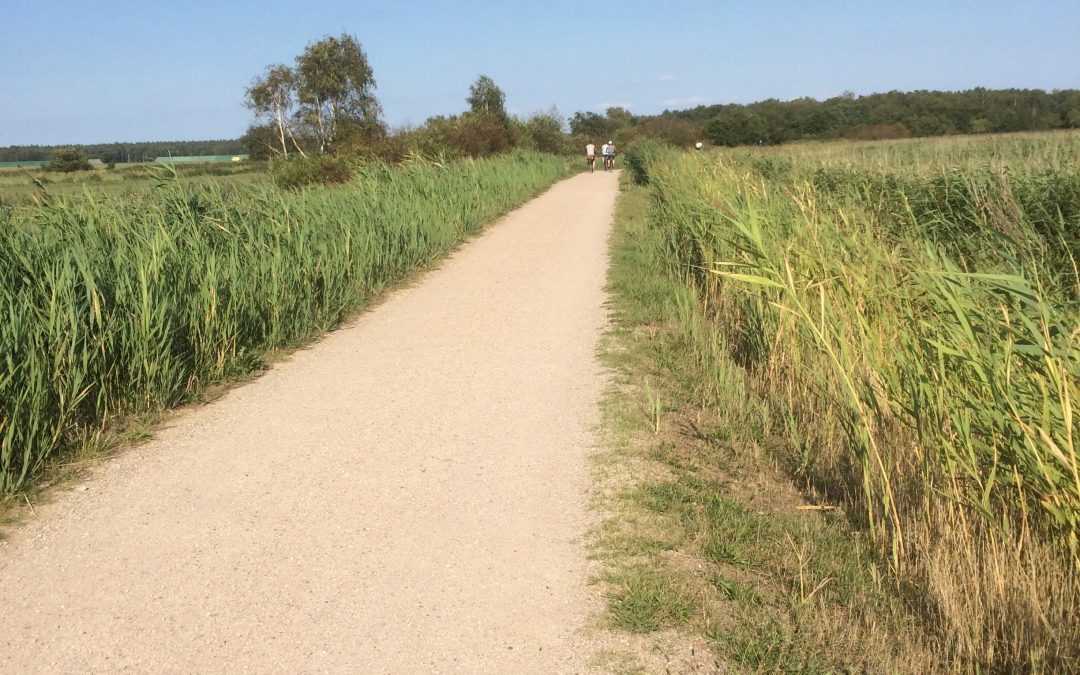 Der Ostsee-Radweg