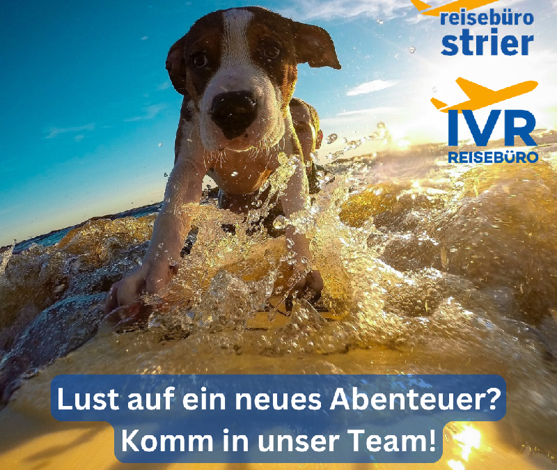 Verstärkung gesucht!!!